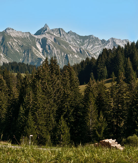 Rougement Mountains Switzerlan Rougement Switzerland Design Hotels™